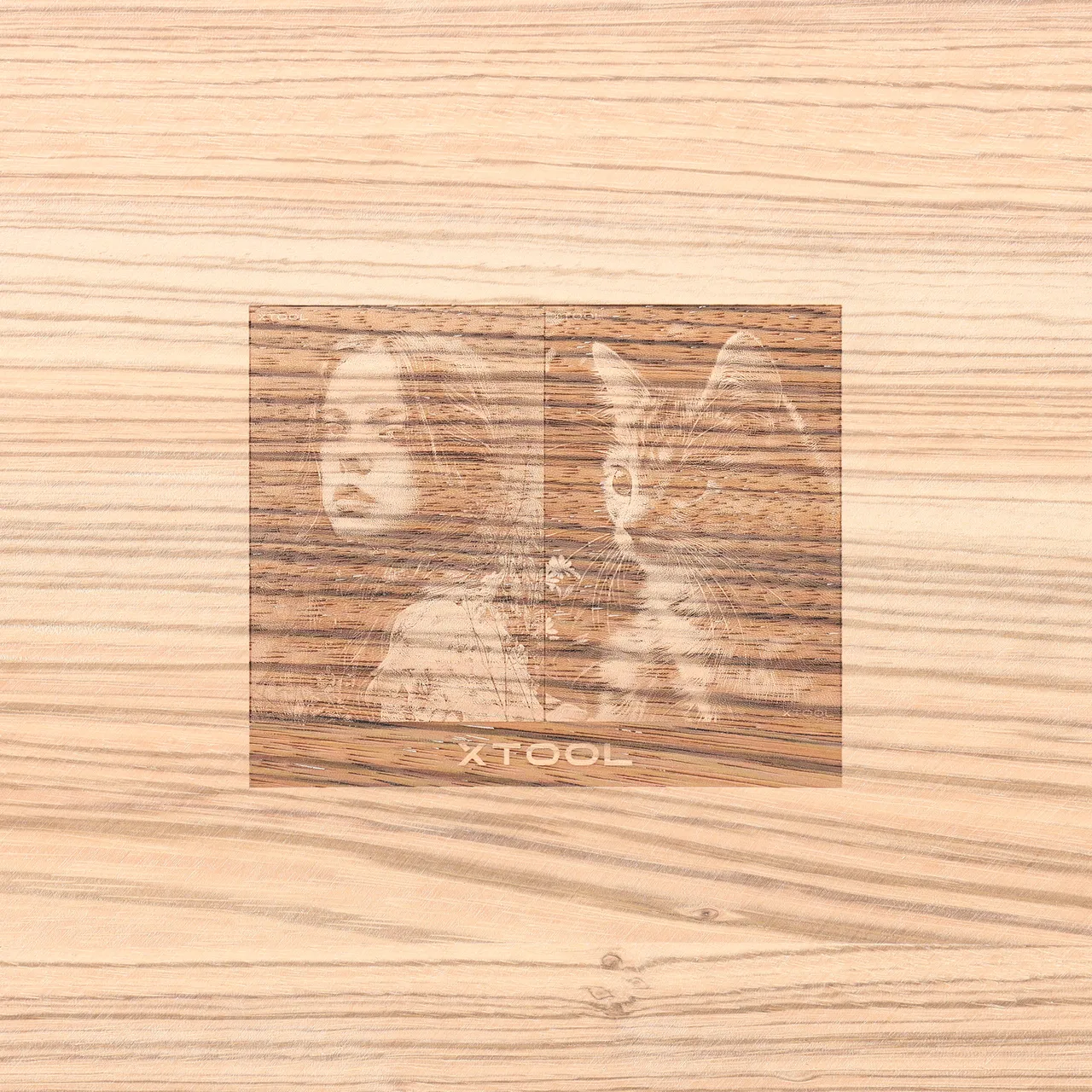 1/8"(3mm) Zebrawood Plywood test grid