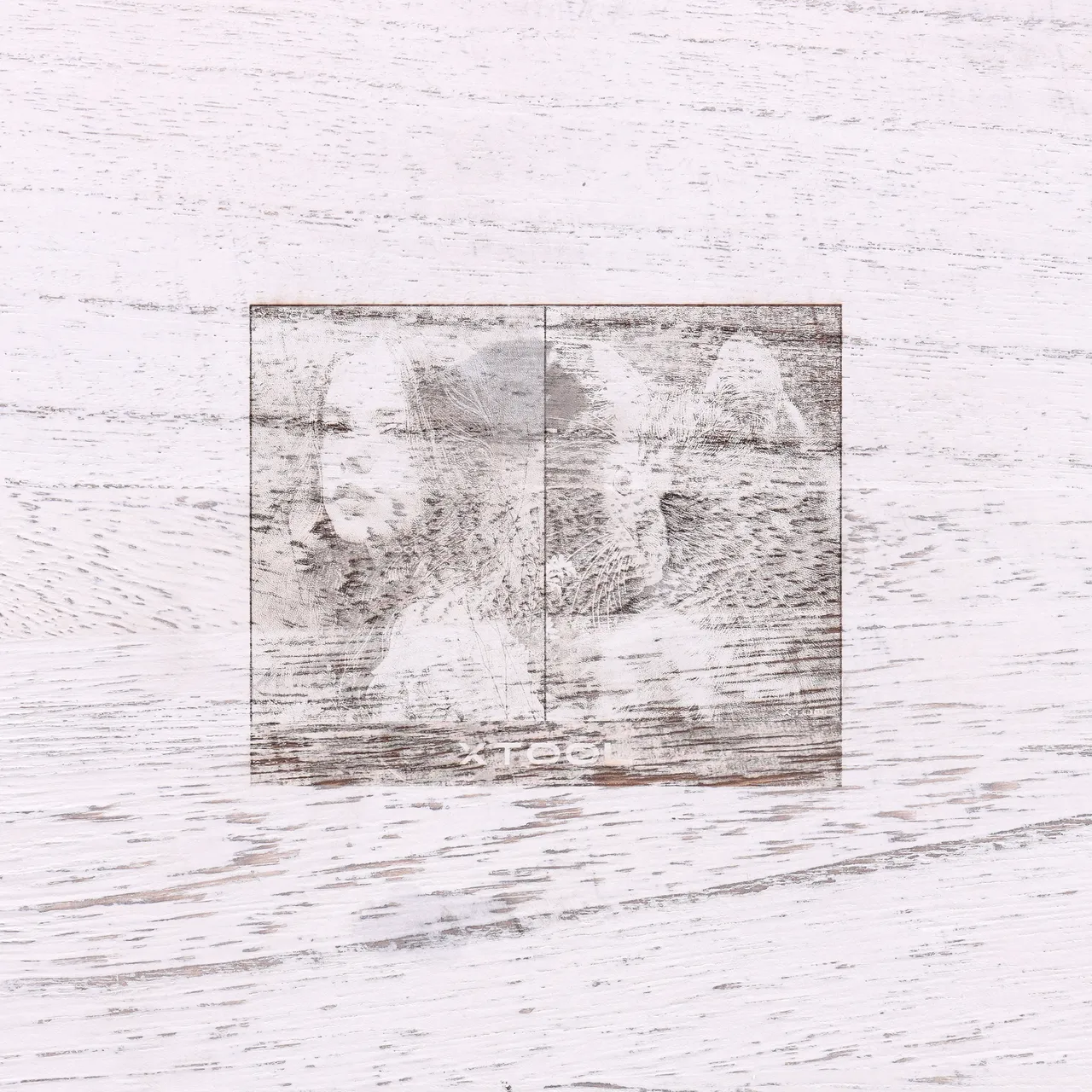 Distressed White Painted Paulownia Wood test grid