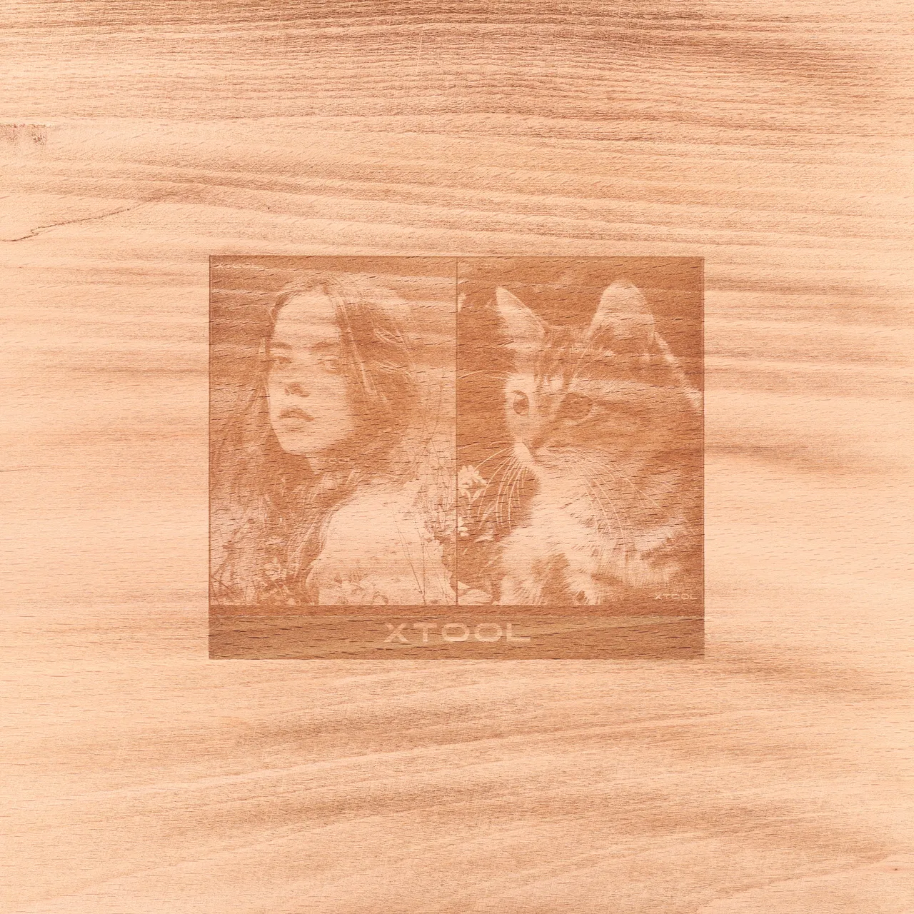Carbonized Beech Wood test grid
