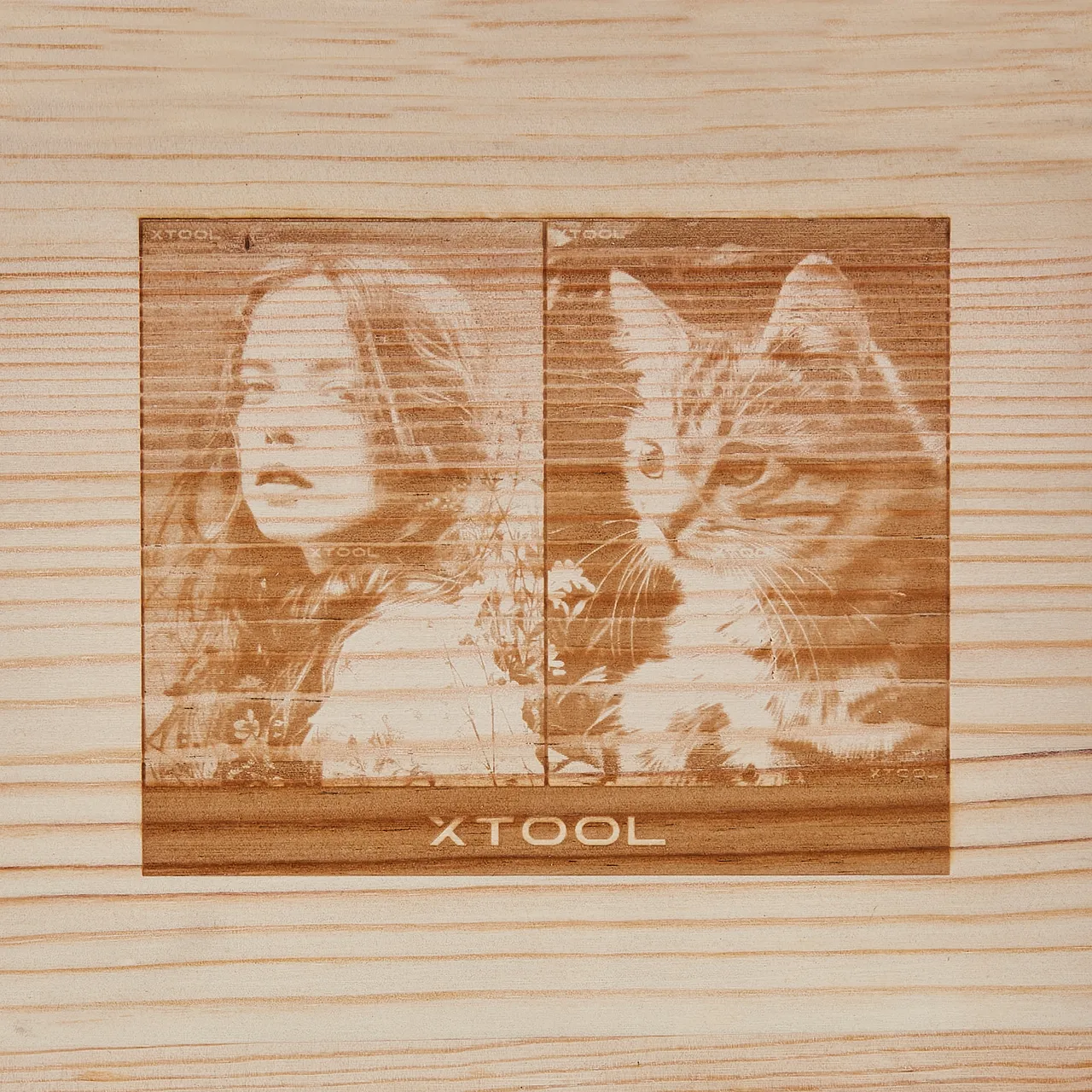 Pine Wood test grid