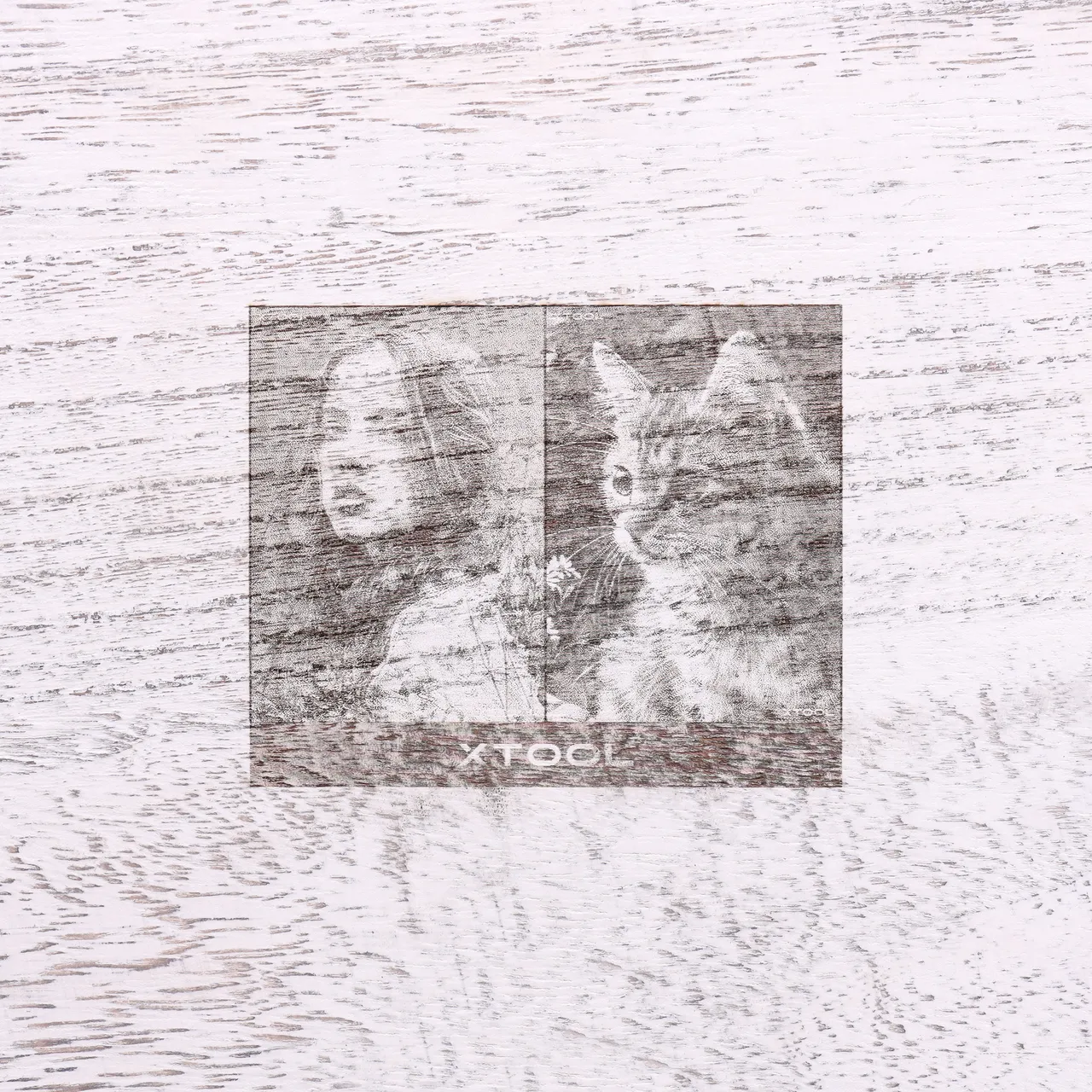 Distressed White Painted Paulownia Wood test grid