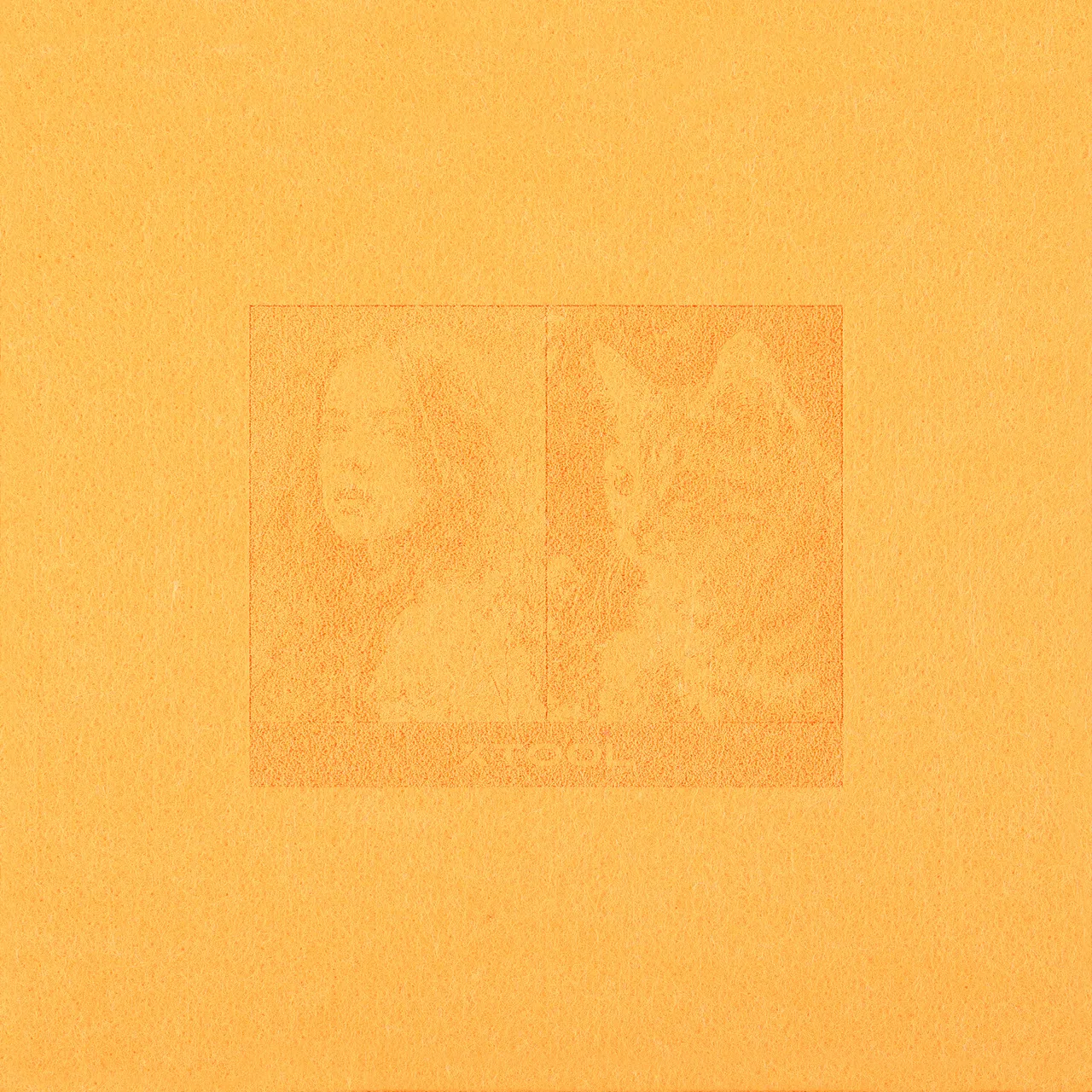 1/8"(3mm) Orange Felt test grid