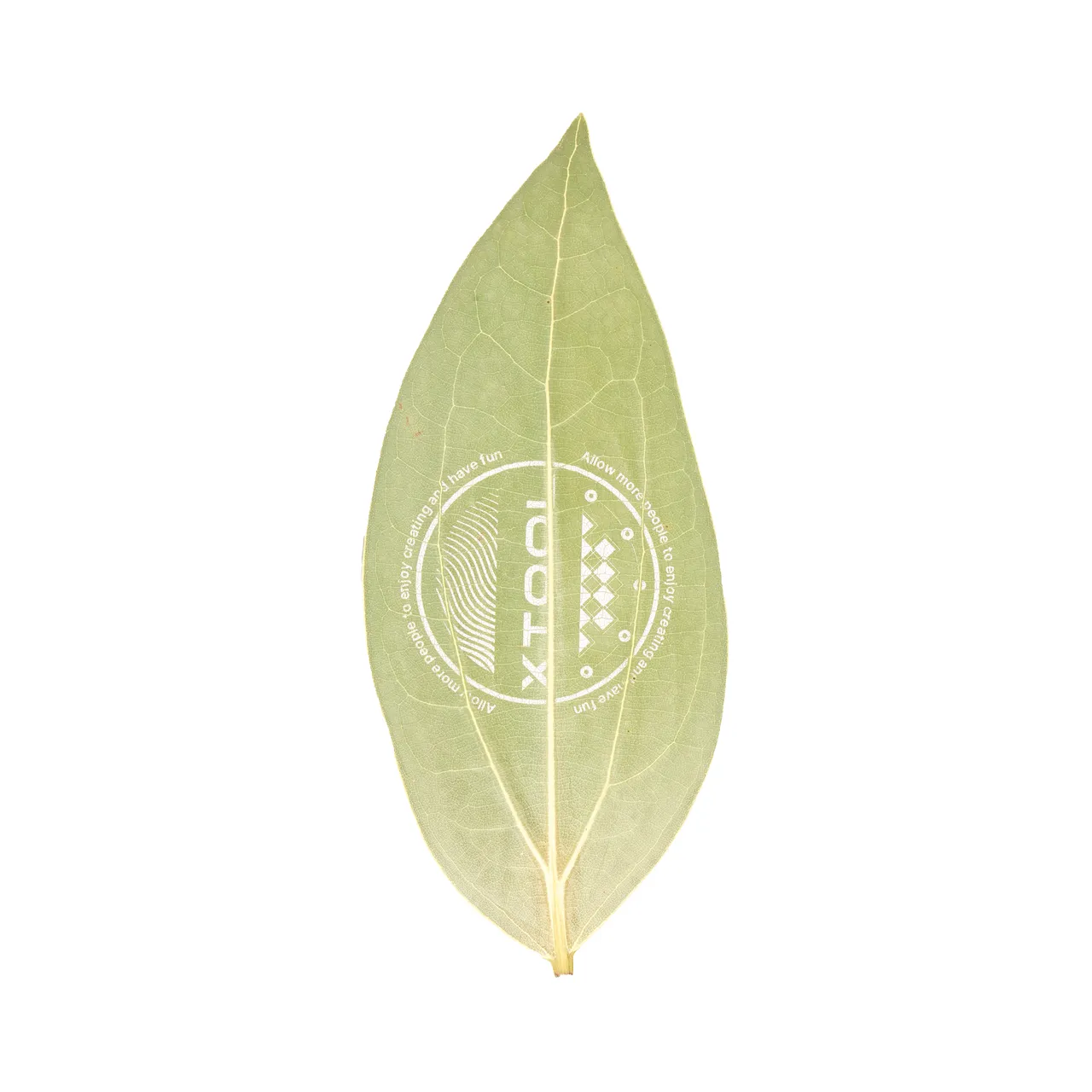 Cinnamon Leaf test grid