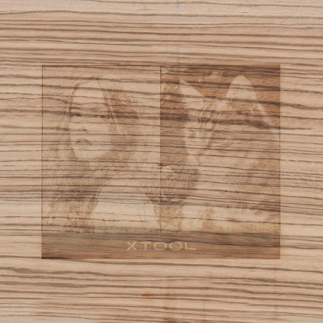 1/8"(3mm) Zebrawood Plywood test grid