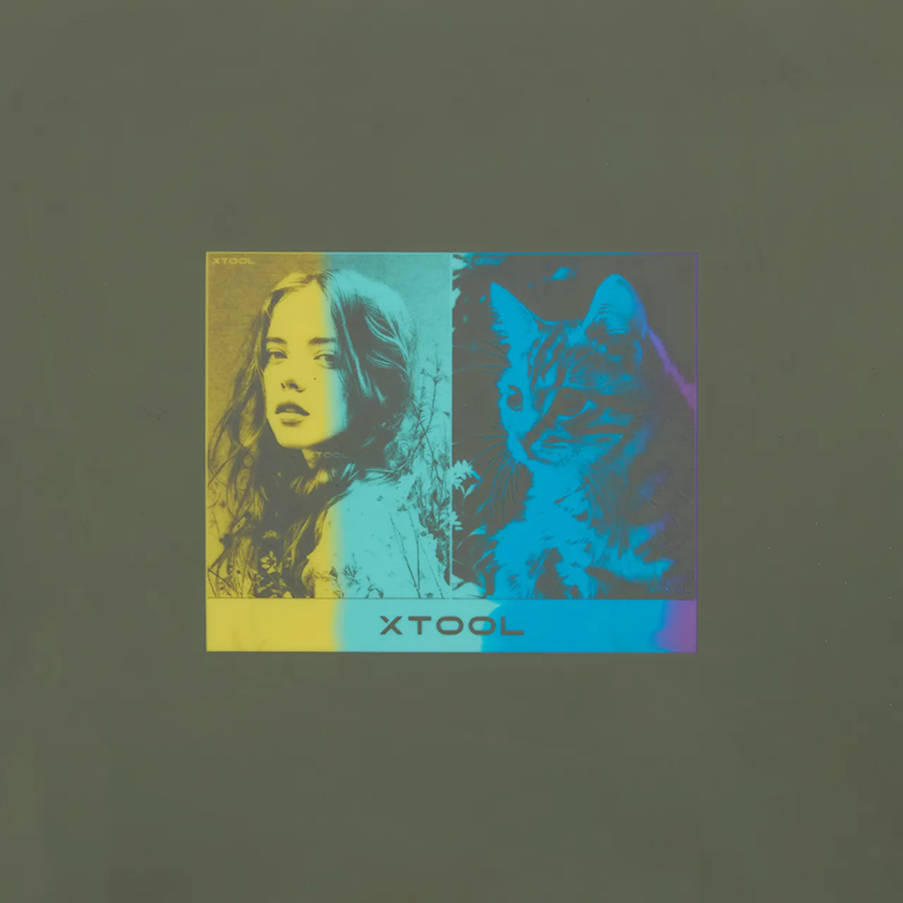 Olive Green to Rainbow Silicone test grid