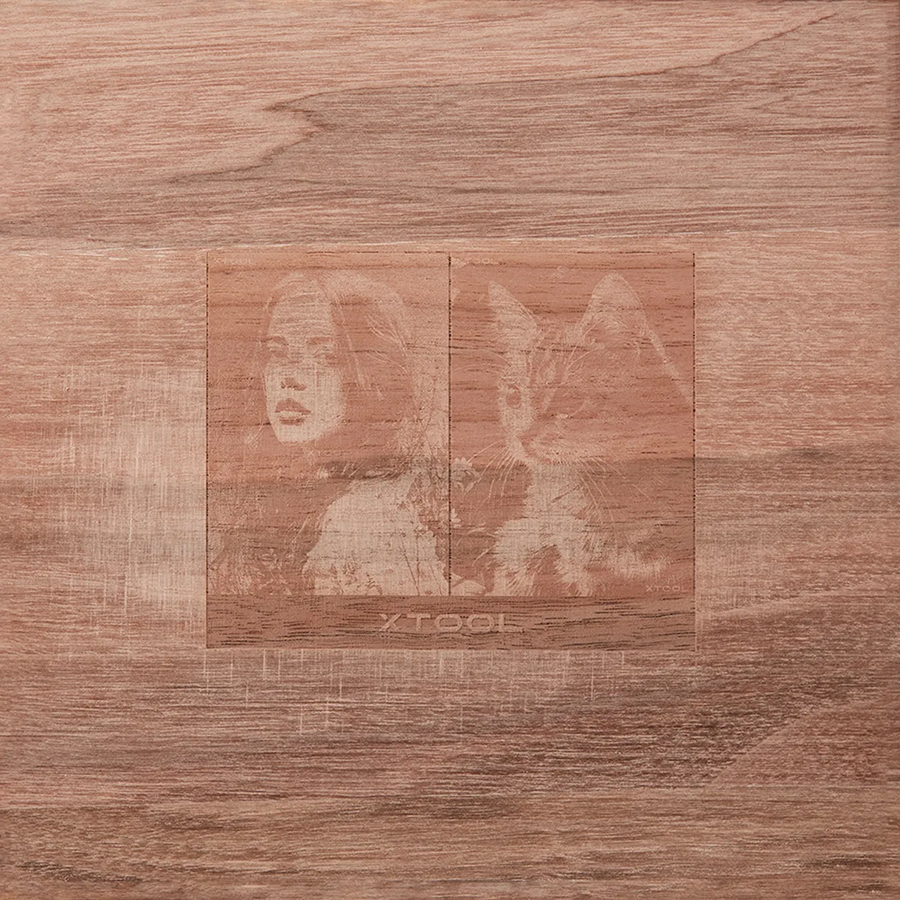 Walnut Wood test grid