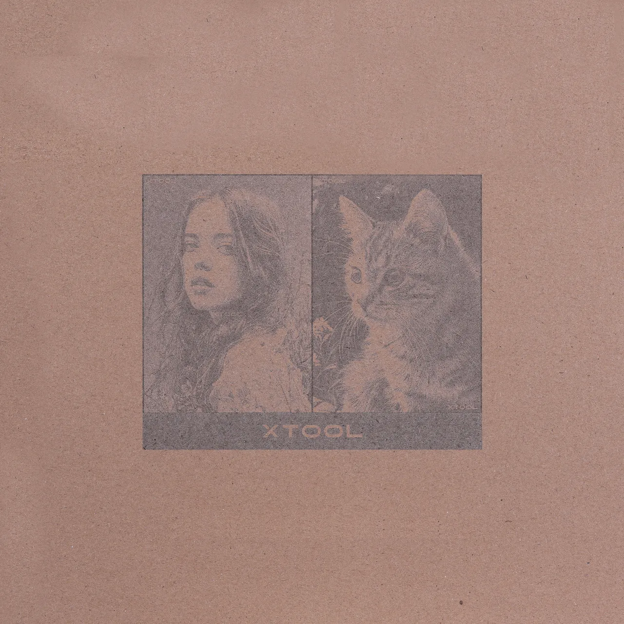 Corrugated Cardboard test grid