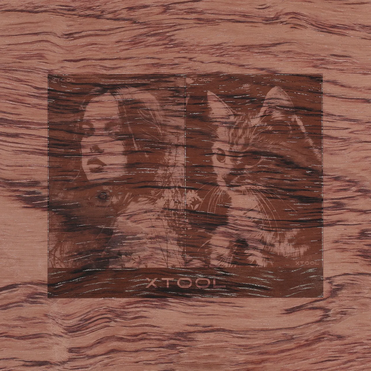 1/8"(3mm) Technological Plywood test grid