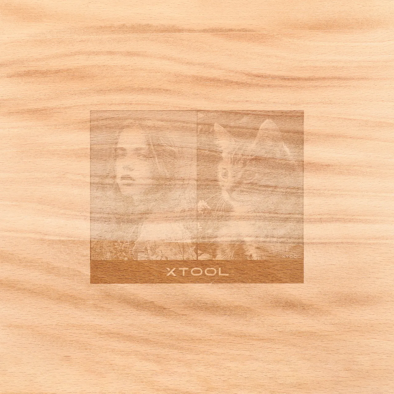 Carbonized Beech Wood test grid